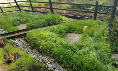 EN VENTA FINCA EN LA FLORIDA, PEREIRA