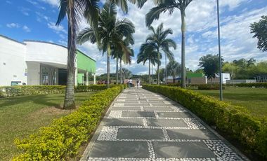 Venta Lote Condominio Campestre Viterbo Caldas