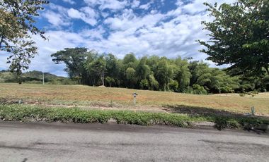 Venta Lote Condominio Campestre Viterbo Caldas