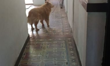 Venta de casa con cochera Barrio Bella Vista