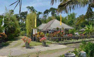 Villa Dengan Jacuzi for sale