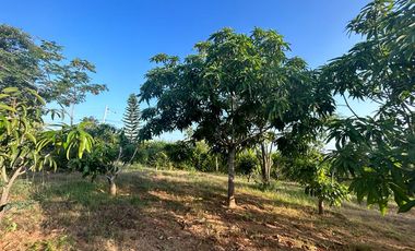 Se vende 1772 metros ² de terreno en Lot. Fincas Colinas del Pacifico