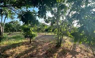 Se vende 1772 metros ² de terreno en Lot. Fincas Colinas del Pacifico