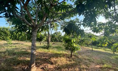 Se vende 1772 metros ² de terreno en Lot. Fincas Colinas del Pacifico