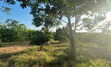 Se vende 1772 metros ² de terreno en Lot. Fincas Colinas del Pacifico