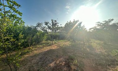 Se vende 1772 metros ² de terreno en Lot. Fincas Colinas del Pacifico