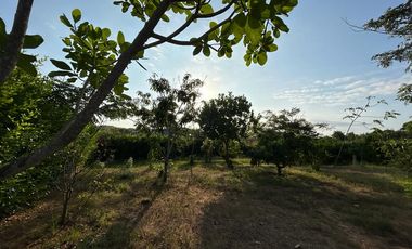 Se vende 1772 metros ² de terreno en Lot. Fincas Colinas del Pacifico