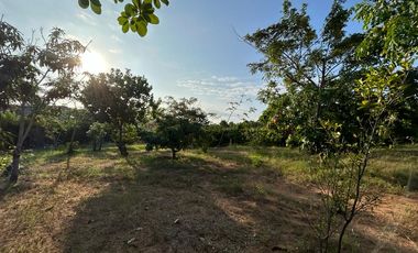 Se vende 1772 metros ² de terreno en Lot. Fincas Colinas del Pacifico