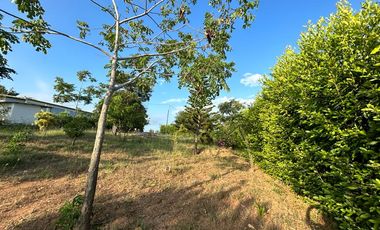 Se vende 1772 metros ² de terreno en Lot. Fincas Colinas del Pacifico