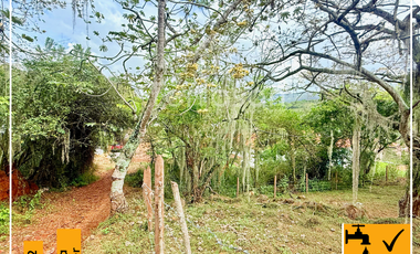 LOTE URBANO EN VENTA