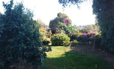 CAMPIRANA CASA EN RENTA EN  BOSQUE DE ENCINOS EN EL POBLADO DE SANGTA MARÍA AHUACATITLÁN EN CUERNAVACA, MORELOS.
