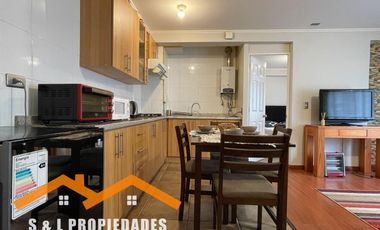 ARRIENDO DEPARTAMENTO AMOBLADO 1 DORMITORIO EN PARQUE DEL VALLE