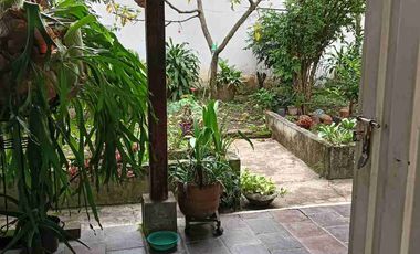 Vendo  Bucaramanga  Barrio el Prado exelente ubicación  Amplia casa   230 metros construidos 8 x26 fondo.