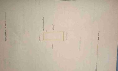 Dijual Kebun Durian Bawor + Musangking dan Alpukat di Bagelen Purworejo