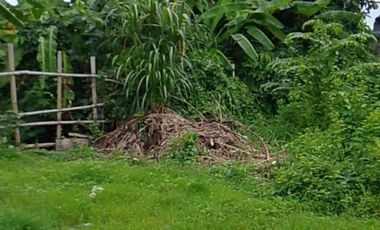 Tanah 1,7 Are Dekat Pusat Kuliner Dijual di Sumerta, Denpasar Area