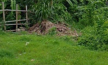 Tanah 1,7 Are Dekat Pusat Kuliner Dijual di Sumerta, Denpasar Area