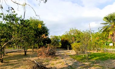 En venta complejo turístico en San Mateo, Esmeraldas.