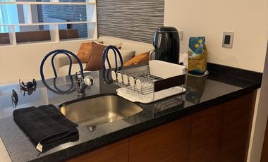 Loft en Park Pedregal