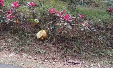 Super Murah Tanah Dijual Di somongari ,Kaligesing, Purworejo, Jawa Tengah