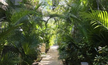 Departamento en venta Jardines Mayakoba