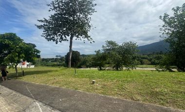 Repriced! Good Deal! Lot For Sale - Ayala Greenfield Estates