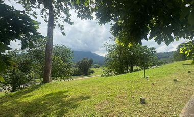 Repriced! Good Deal! Lot For Sale - Ayala Greenfield Estates