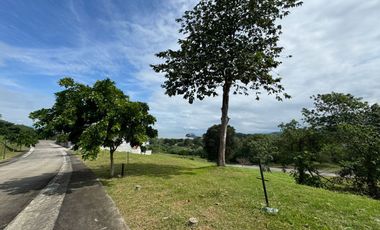 Repriced! Good Deal! Lot For Sale - Ayala Greenfield Estates