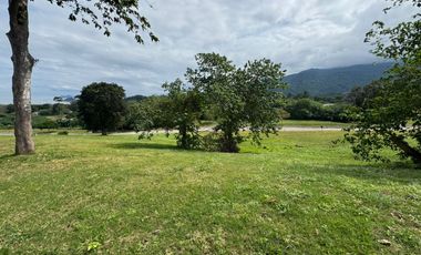 Repriced! Good Deal! Lot For Sale - Ayala Greenfield Estates