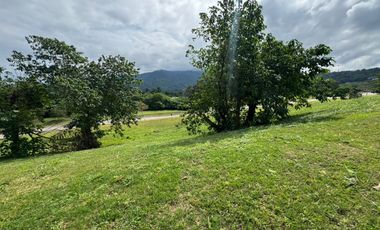 Repriced! Good Deal! Lot For Sale - Ayala Greenfield Estates