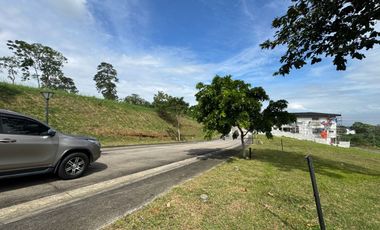 Repriced! Good Deal! Lot For Sale - Ayala Greenfield Estates