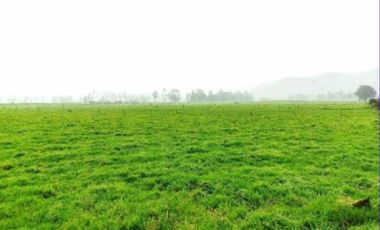 SE VENDE FINCA EN SOPO CUNDINAMARCA USO AGRICOLA GANADERO