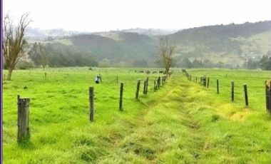 SE VENDE FINCA EN SOPO CUNDINAMARCA USO AGRICOLA GANADERO