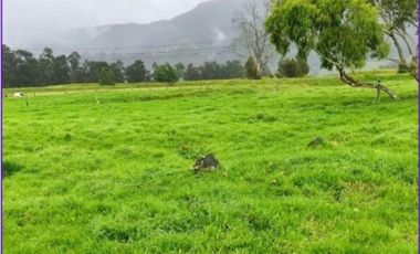 SE VENDE FINCA EN SOPO CUNDINAMARCA USO AGRICOLA GANADERO