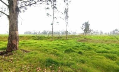 SE VENDE FINCA EN SOPO CUNDINAMARCA USO AGRICOLA GANADERO