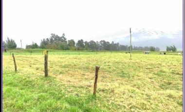 SE VENDE FINCA EN SOPO CUNDINAMARCA USO AGRICOLA GANADERO