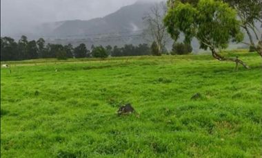 SE VENDE FINCA EN SOPO CUNDINAMARCA USO AGRICOLA GANADERO