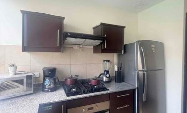 Renta departamento 2 dormitorios