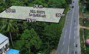 Tanah Pal 8 Sungai Kakap 36x75