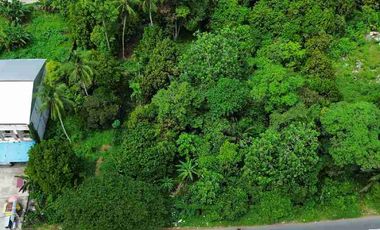 Tanah Pal 8 Sungai Kakap 36x75