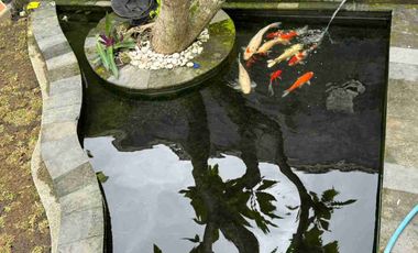 Disewakan Murah Rumah Kantor Besar Luas Sejuk Asri Wedomartani Ngemplak Sleman