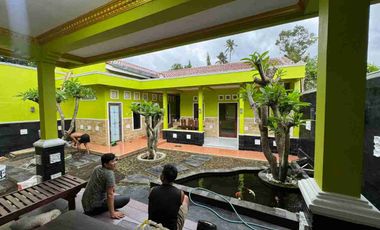 Disewakan Murah Rumah Kantor Besar Luas Sejuk Asri Wedomartani Ngemplak Sleman