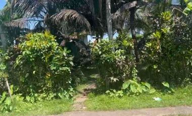 jual tanah dekat pantai soka dan pantai antap