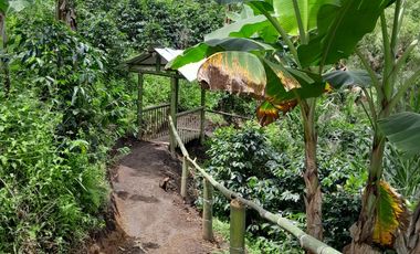 VENTA DE FINCA FILANDIA