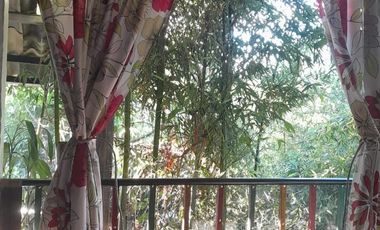 VENTA DE FINCA FILANDIA