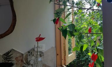 VENTA DE FINCA FILANDIA