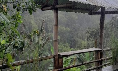 VENTA DE FINCA FILANDIA