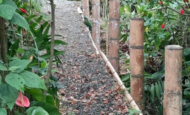 VENTA DE FINCA FILANDIA