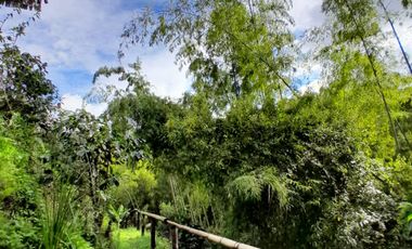 VENTA DE FINCA FILANDIA