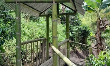 VENTA DE FINCA FILANDIA