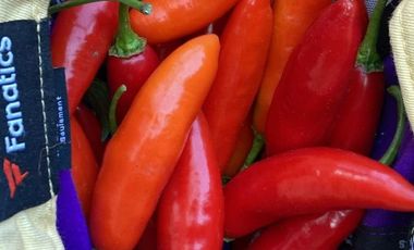 VENTA DE FINCA FILANDIA